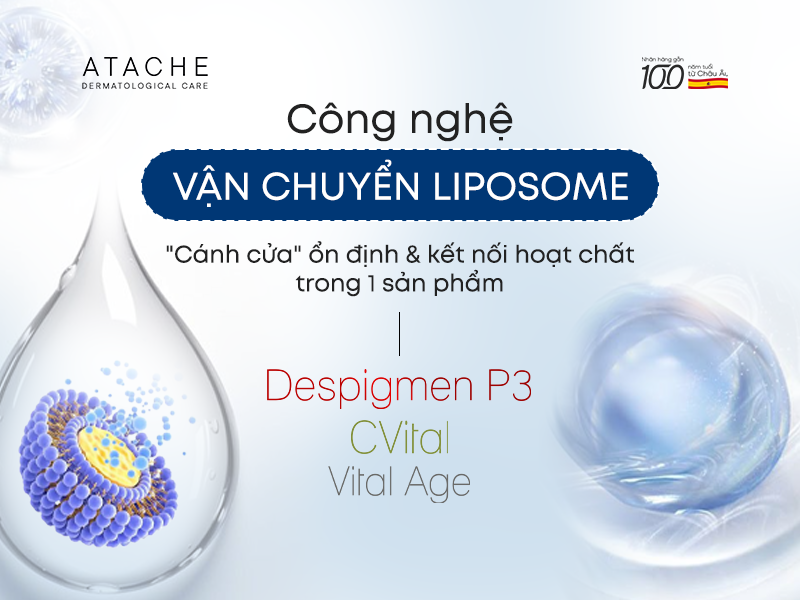  CÔNG NGHỆ VẬN CHUYỂN LIPOSOME: “CÁNH CỬA” ỔN ĐỊNH & KẾT NỐI HOẠT CHẤT TRONG 1 SẢN PHẨM 
