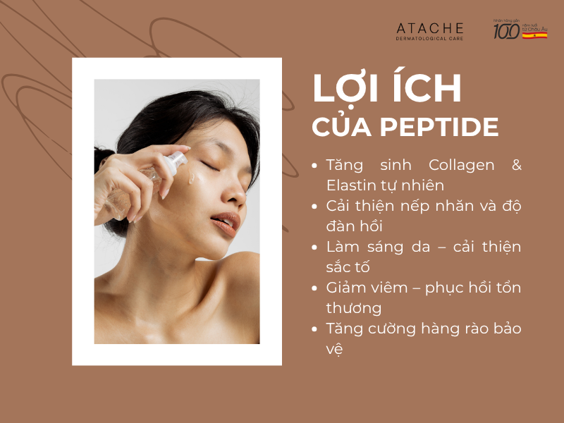 Peptide có 5 lợi ích chính: tăng sinh Collagen & Elastin, cải thiện nếp nhăn & độ đàn hồi, dưỡng sáng & cải thiện sắc tố, giảm viêm & phục hồi, tăng cường hàng rào bảo vệ.