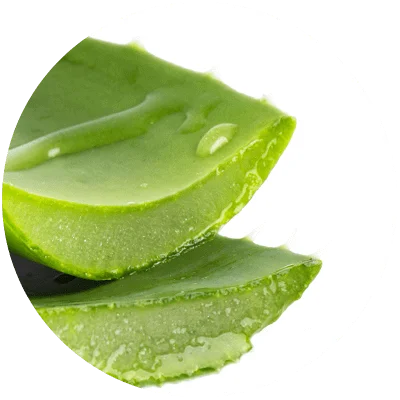 Aloe Vera Extract