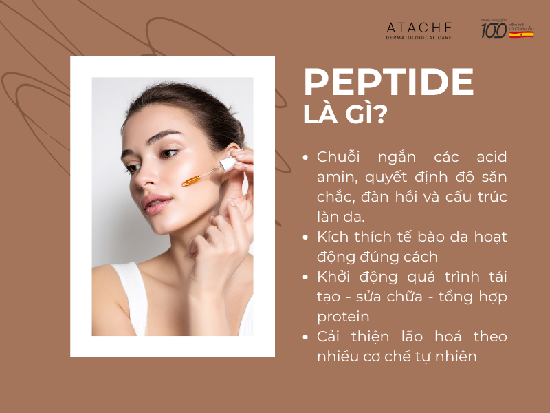 Peptide là các chuỗi acid amin ngắn - những “mảnh protein” kích thích tế bào thực hiện các nhiệm vụ quan trọng.